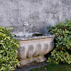 Visualizza immagine