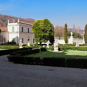 Visualizza immagine