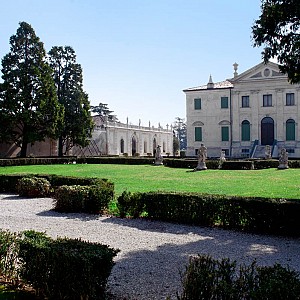 Visualizza immagine