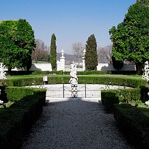 Visualizza immagine
