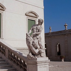 Visualizza immagine