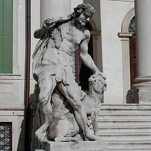 Visualizza immagine