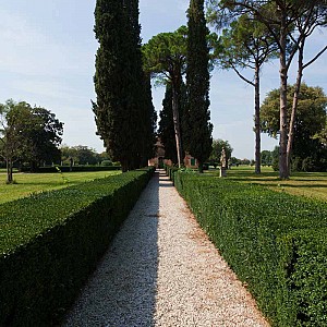 Visualizza immagine