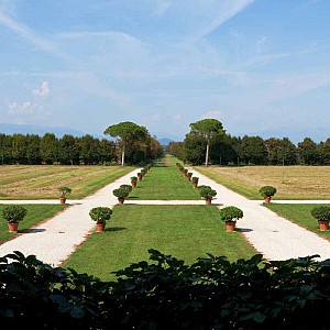 Visualizza immagine