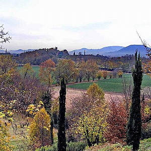 Visualizza immagine