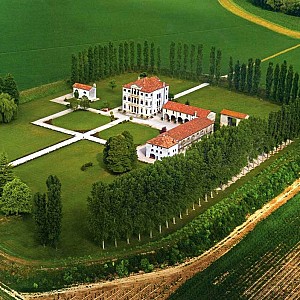 Visualizza immagine