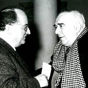 Visualizza immagine