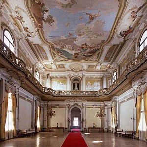 Visualizza immagine